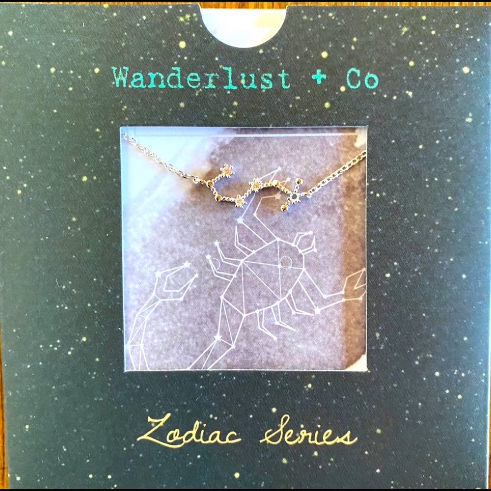 Scorpio Zodiac Series Silver Necklace